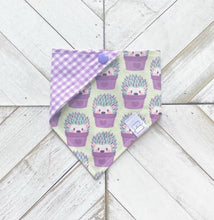 Load image into Gallery viewer, HedgeHugs Pet Bandana