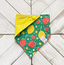 Load image into Gallery viewer, Berry Zest Pet Bandana