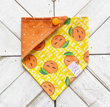 Load image into Gallery viewer, Little Cutie Pet Bandana