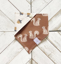 Load image into Gallery viewer, On Squirrel Watch Pet Bandana