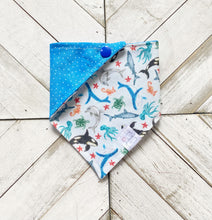 Load image into Gallery viewer, Ocean Buddies Pet Bandana