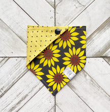 Load image into Gallery viewer, Sunflower Fanatic Pet Bandana