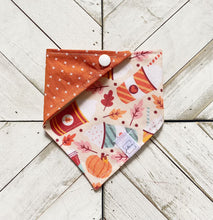 Load image into Gallery viewer, Fall Latte Pet Bandana