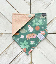 Load image into Gallery viewer, Cat Cafe Pet Bandana