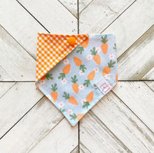 Load image into Gallery viewer, Carrot Field Pet Bandana