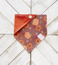 Load image into Gallery viewer, Fall Gourds Pet Bandana