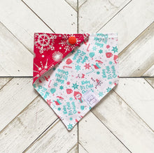Load image into Gallery viewer, Baby It’s Cold Outside Pet Bandana