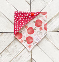 Load image into Gallery viewer, Apple Harvest Pet Bandana