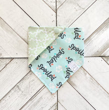 Load image into Gallery viewer, Spoiled Pet Bandana
