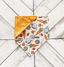 Load image into Gallery viewer, Spring Harvest Pet Bandana