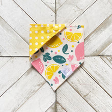 Load image into Gallery viewer, Squeeze The Day Pet Bandana