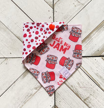 Load image into Gallery viewer, That’s My Jam Pet Bandana
