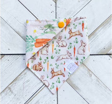 Load image into Gallery viewer, Peter Rabbit Pet Bandana
