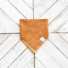 Load image into Gallery viewer, Cozy Corduroy Pet Bandana