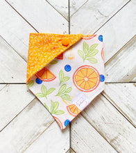 Load image into Gallery viewer, Citrus Fusion Pet Bandana