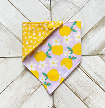 Load image into Gallery viewer, Sour & Flowers Pet Bandana