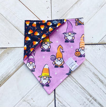Load image into Gallery viewer, Spooky Gnomes Pet Bandana