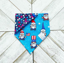 Load image into Gallery viewer, Gnome Of The Brave Pet Bandana