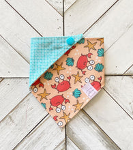Load image into Gallery viewer, Feeling Crabby Pet Bandana