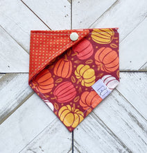 Load image into Gallery viewer, Autumn Gourd Pet Bandana