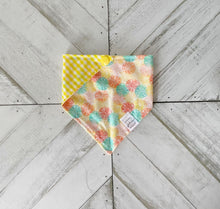 Load image into Gallery viewer, Main Squeeze Pet Bandana