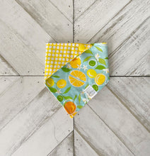 Load image into Gallery viewer, Citrus Pet Bandana