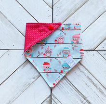 Load image into Gallery viewer, Owl Always Love Winter Pet Bandana