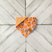 Load image into Gallery viewer, Orange You Glad Pet Bandana