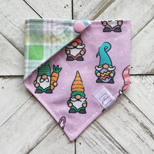 Load image into Gallery viewer, Easter Gnomes Pet Bandana