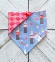 Load image into Gallery viewer, Feelin Fizzy Pet Bandana