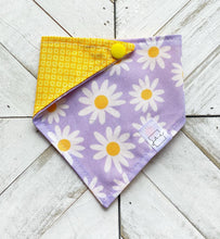 Load image into Gallery viewer, Drive Me Daisy Pet Bandana