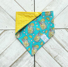 Load image into Gallery viewer, Summer Sips Pet Bandana
