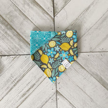 Load image into Gallery viewer, Lemonade Springs Pet Bandana