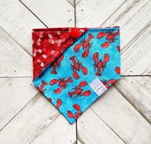 Load image into Gallery viewer, Dont Be Shellfish Pet Bandana