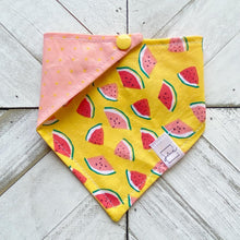Load image into Gallery viewer, Summer Melons Pet Bandana