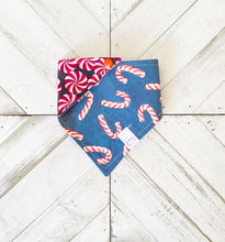 Load image into Gallery viewer, Peppermint Pet Bandana
