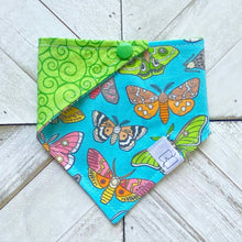 Load image into Gallery viewer, Moth Madness Pet Bandana