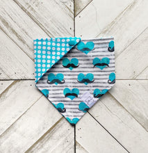 Load image into Gallery viewer, Stache Love Pet Bandana
