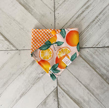 Load image into Gallery viewer, Zesty Pet Bandana