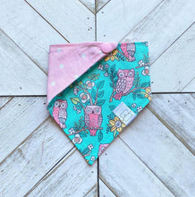 Load image into Gallery viewer, It's Owl Good Pet Bandana