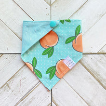 Load image into Gallery viewer, Feeling Peachy Pet Bandana