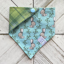 Load image into Gallery viewer, Hopping Into Spring Pet Bandana