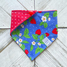 Load image into Gallery viewer, Berry Patch Pet Bandana