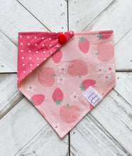 Load image into Gallery viewer, Berry Peachy Pet Bandana
