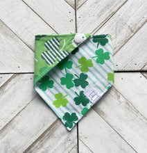Load image into Gallery viewer, Luck Of The Irish Pet Bandana