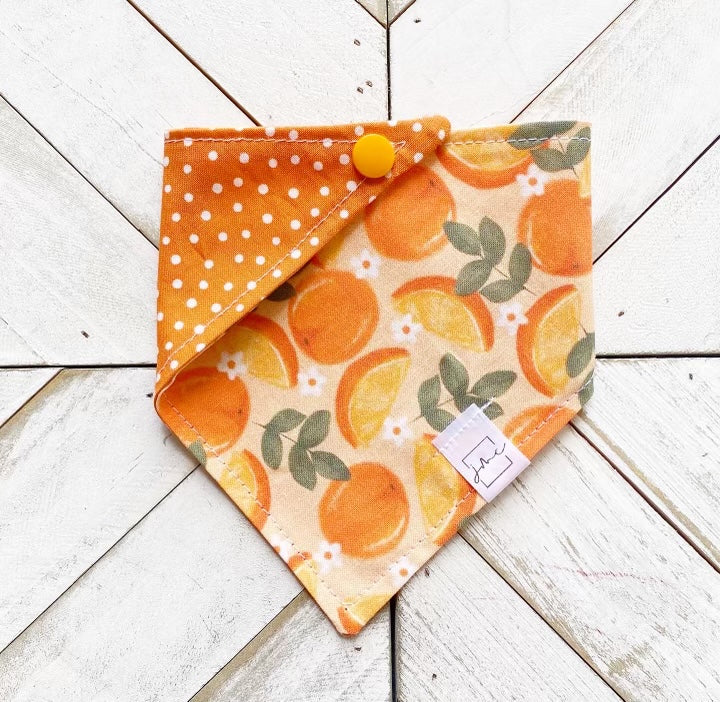 Orange You Cute Pet Bandana