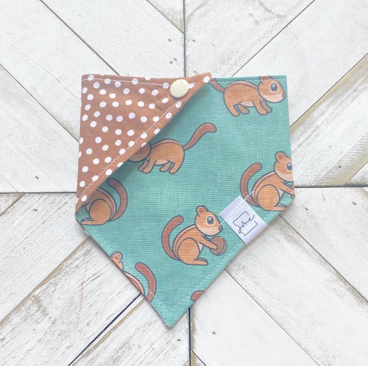Nuts About You Pet Bandana