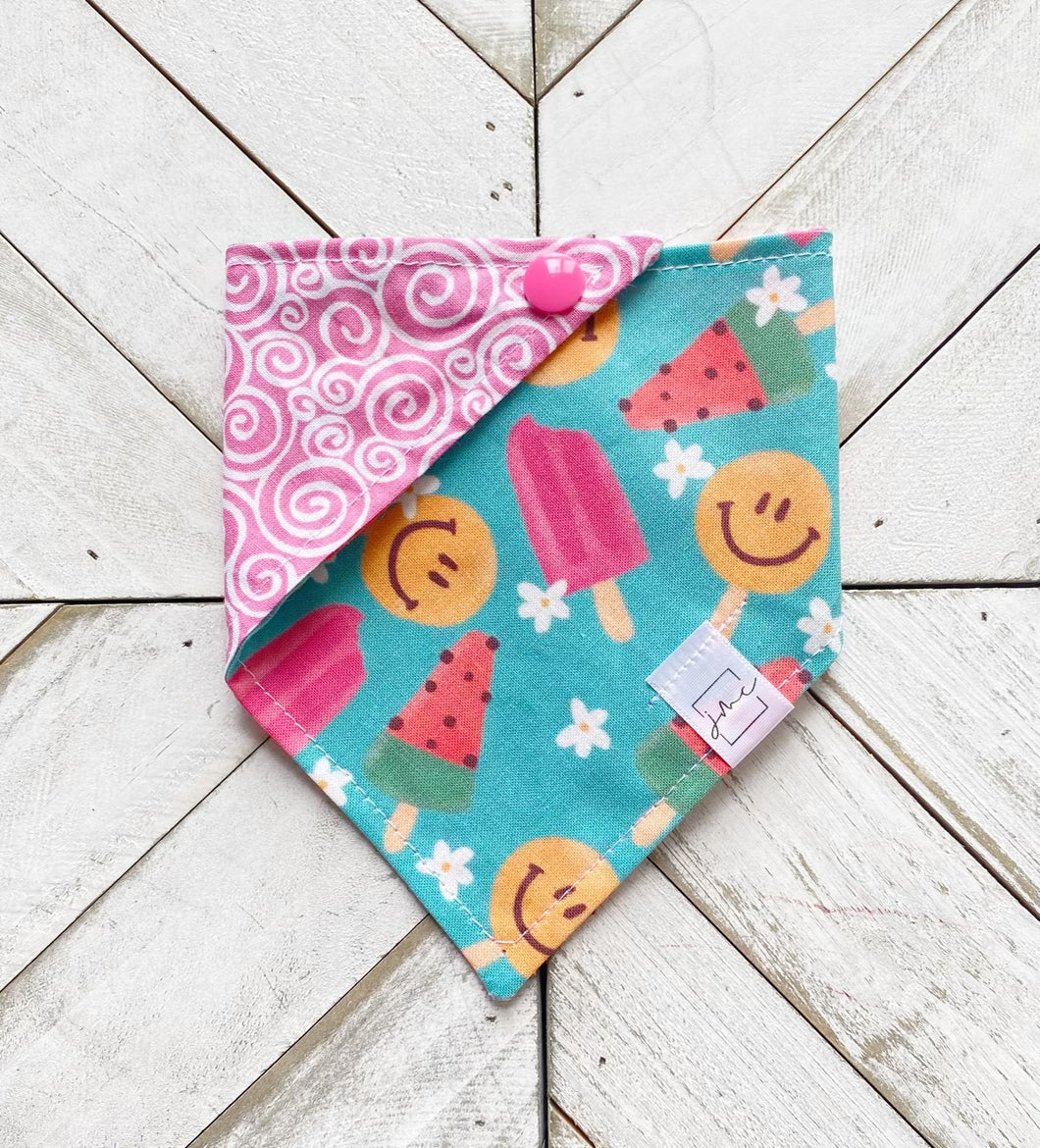 Popsicle Smiles Pet Bandana