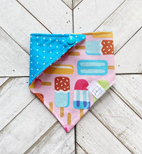 Load image into Gallery viewer, Just Chillin’ Pet Bandana
