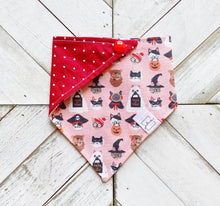 Load image into Gallery viewer, Costume Kitties Pet Bandana
